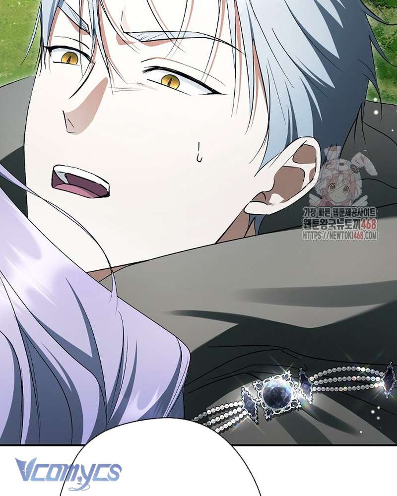 Các Nam Chính Đã Bị Nữ Phụ Cướp Mất Chap 62 - Trang 2