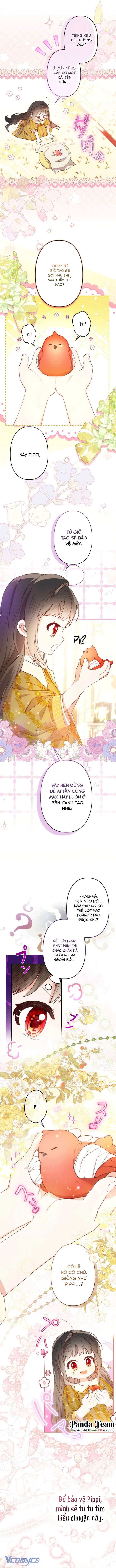 Kiếp Này Em Sẽ Không Sống Dưới Cái Bóng Của Người Chị Song Sinh Chap 6 - Trang 3