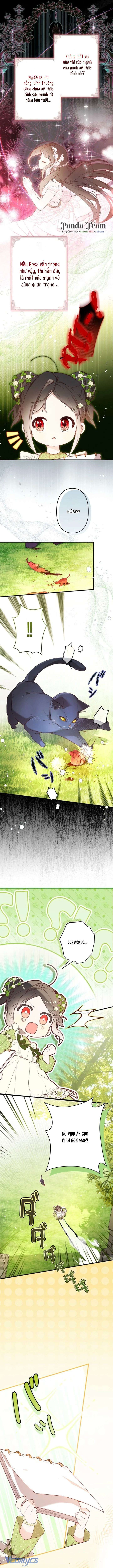 Kiếp Này Em Sẽ Không Sống Dưới Cái Bóng Của Người Chị Song Sinh Chap 5 - Trang 3