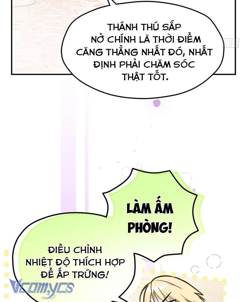 Cô Ấy Sẽ Thuần Hóa Các Anh Hùng Chap 5 - Next Chap 6