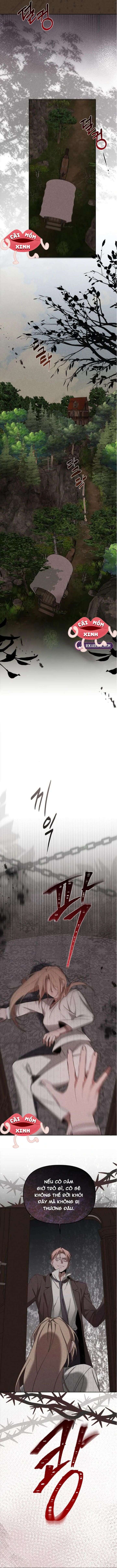 Nơi Đóa Hồng Vàng Úa Tàn Chap 20 - Next 