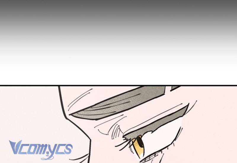 Tối Nay Tôi Là Người Được Cô Ấy Chọn Chap 2 - Trang 3