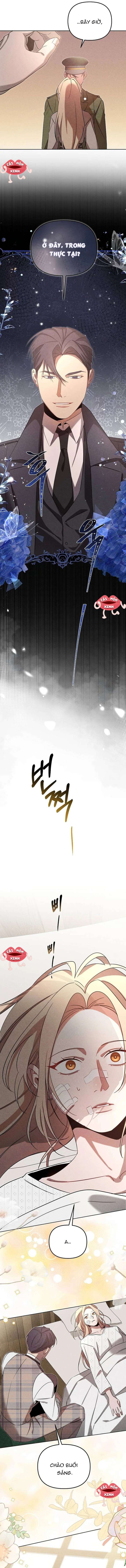 Nơi Đóa Hồng Vàng Úa Tàn Chap 10 - Trang 2