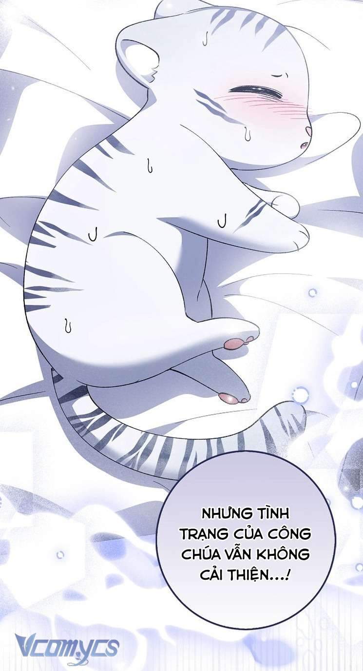 Công Chúa Bạch Hổ Không Có Nguy Hiểm Nha! Chap 9 - Trang 2