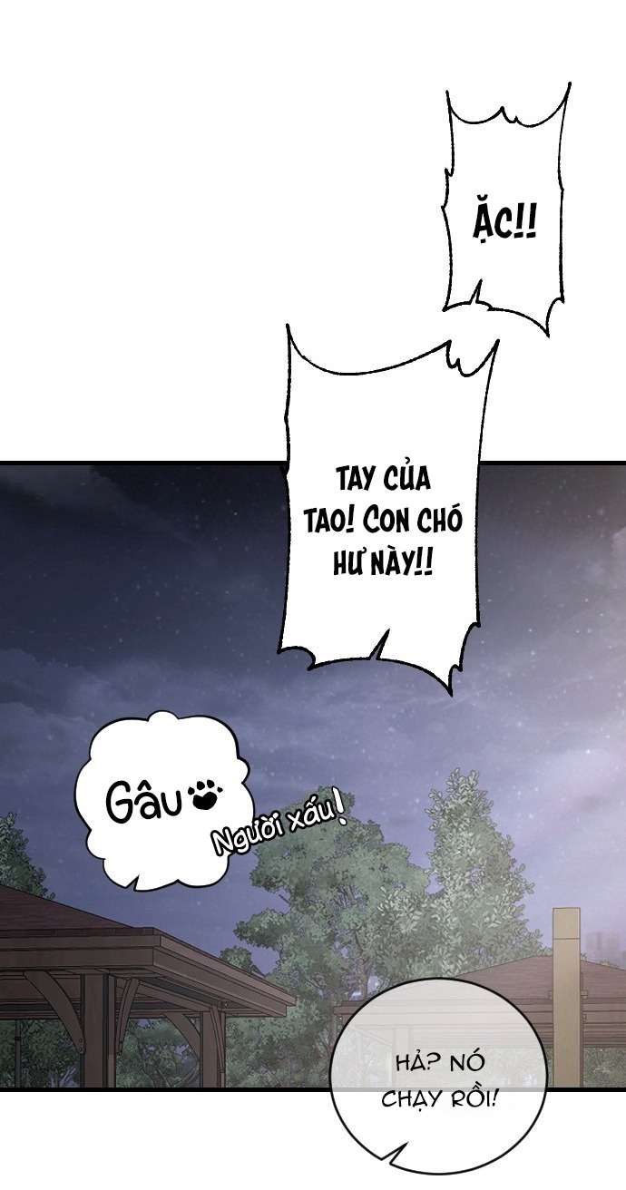 Ba Anh Trai Cực Phẩm Của Tôi Chap 98 - Trang 3