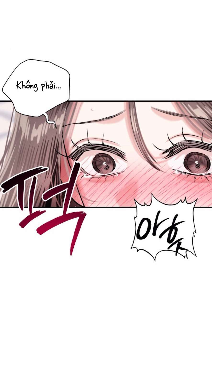 Sở Thích Bị Cai Trị Chap 13 - Trang 2