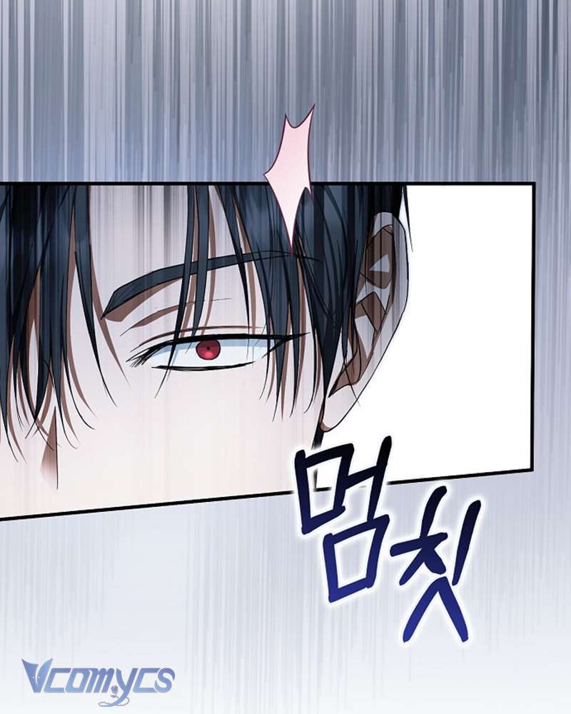 Các Nam Chính Đã Bị Nữ Phụ Cướp Mất Chap 51 - Trang 3