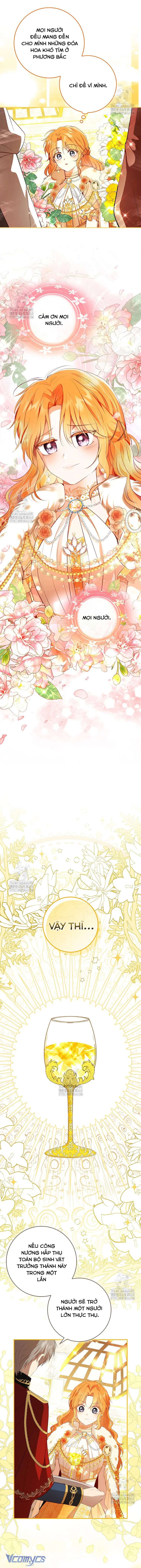 Sóc Con Tài Năng Chap 119 - Trang 2