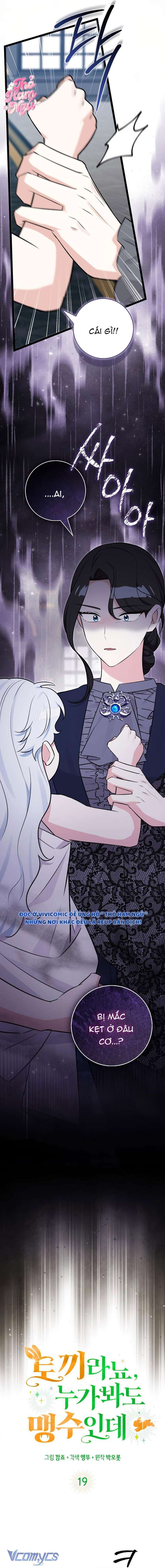 Thỏ Á? Rõ Ràng Là Mãnh Thú Cơ Mà! Chap 19 - Trang 3