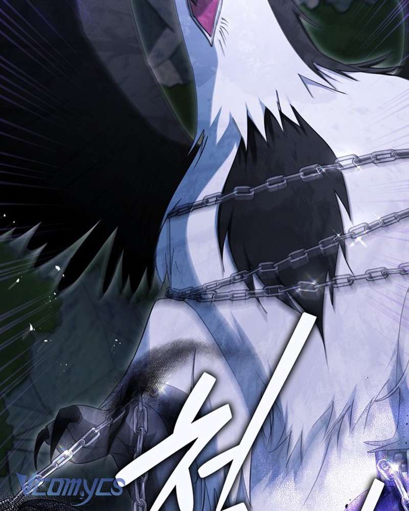 Các Nam Chính Đã Bị Nữ Phụ Cướp Mất Chap 60 - Trang 3