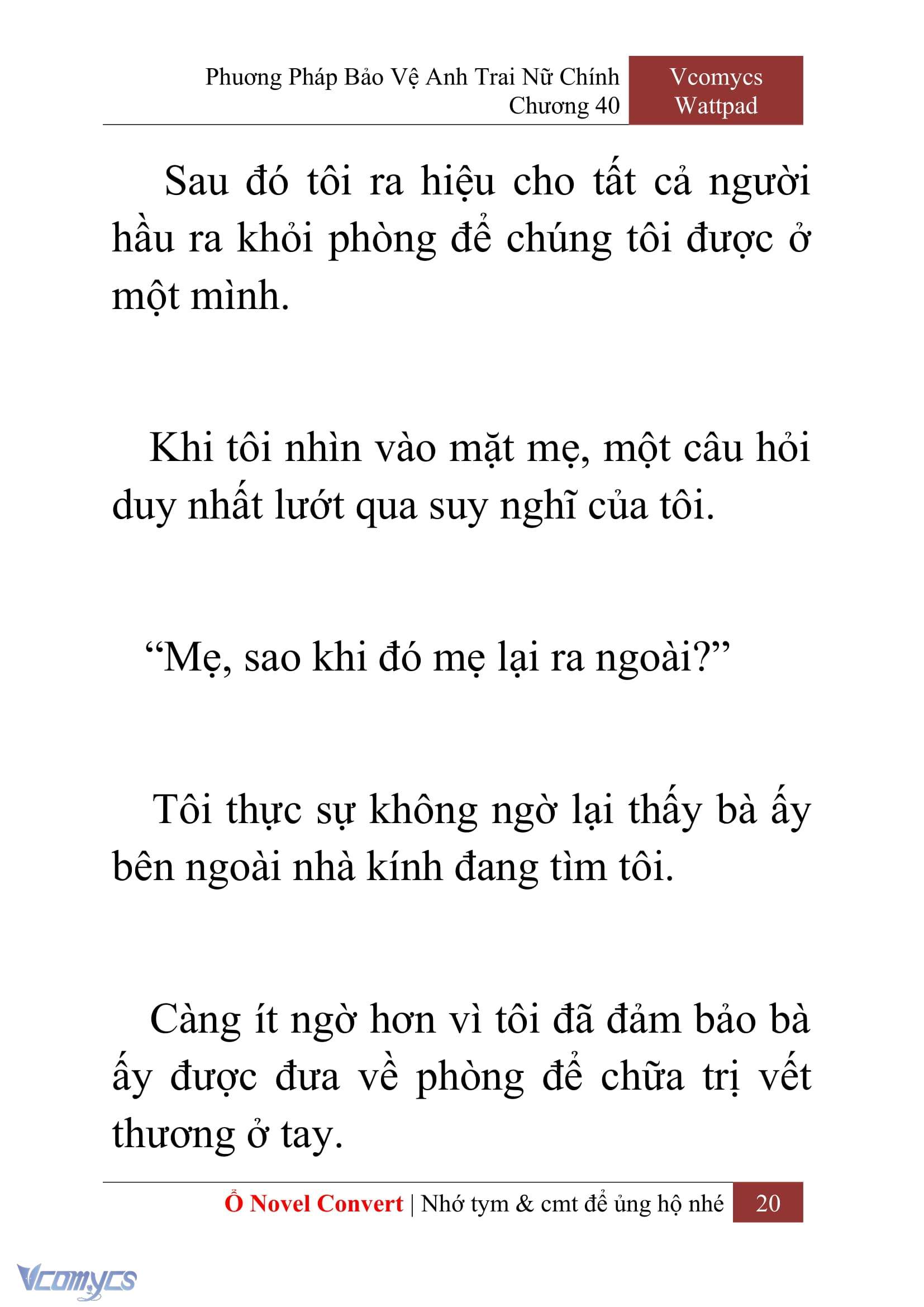 [Novel] Phương Pháp Bảo Vệ Anh Trai Nữ Chính Chap 40 - Trang 2