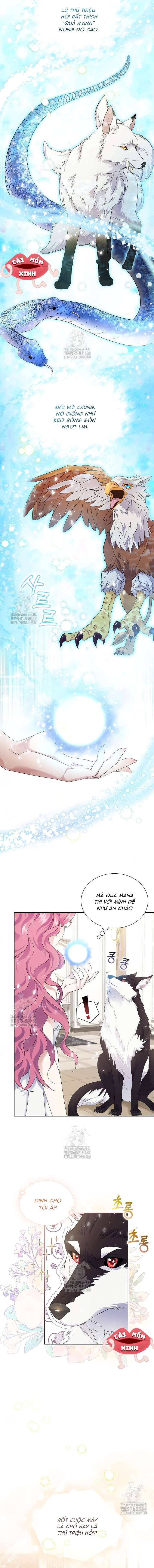 Khi Bị Nam Chính Dịu Dàng Nhưng Cố Chấp Ám Ảnh Chap 3 - Trang 3