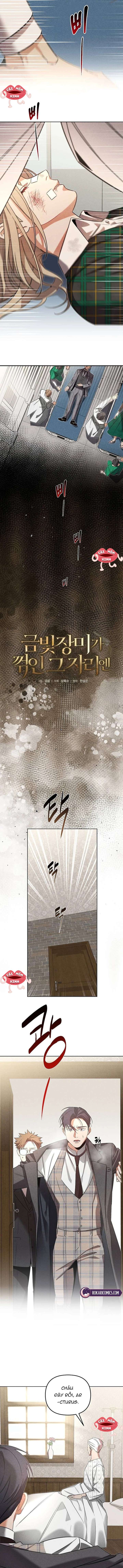 Nơi Đóa Hồng Vàng Úa Tàn Chap 10 - Trang 2