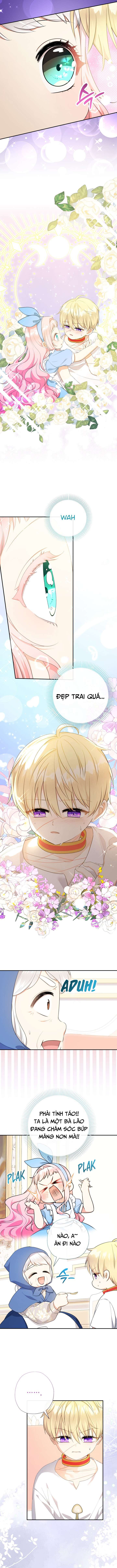 [PNT] Tiểu Thư Tích Tiền Đi Bụi Chap 65 - Trang 2