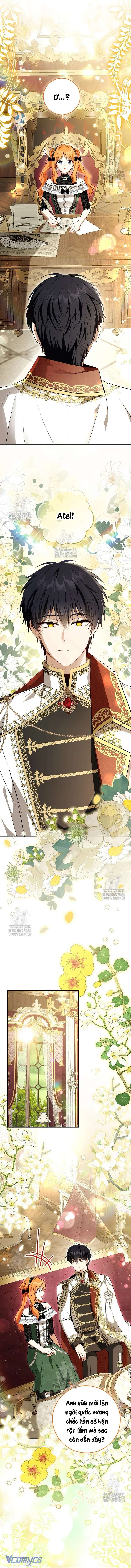 Sóc Con Tài Năng Chap 118 - Trang 2