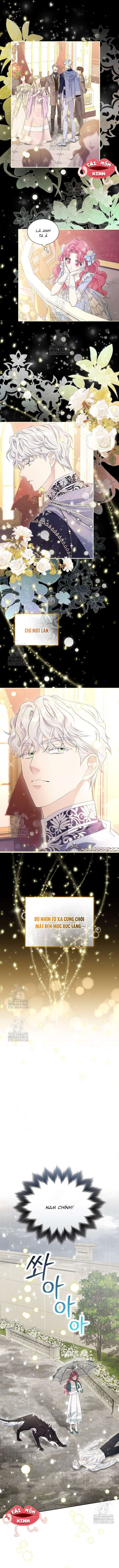 Khi Bị Nam Chính Dịu Dàng Nhưng Cố Chấp Ám Ảnh Chap 4 - Trang 3