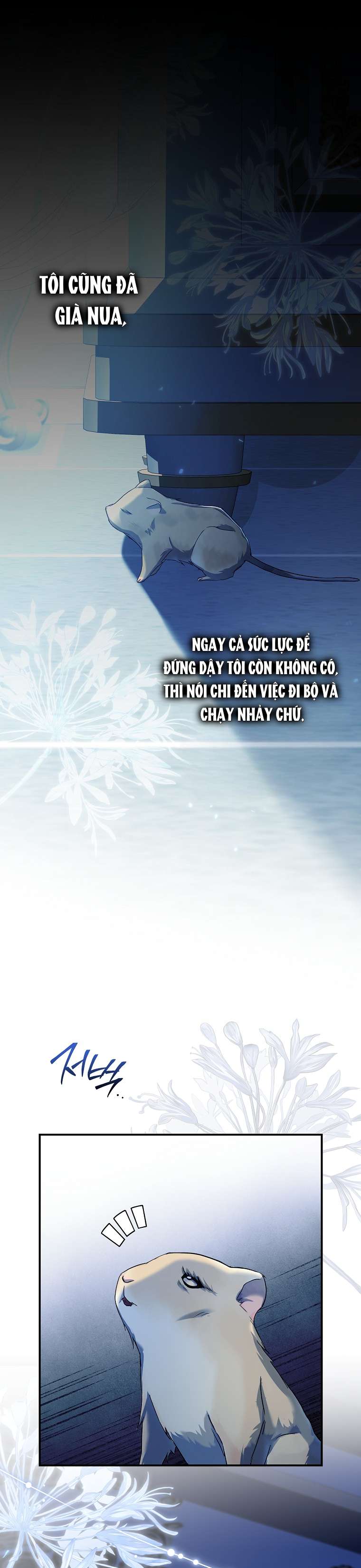 Chuột Đồng Và Lọ Lem Chạy Trốn Khỏi Câu Chuyện Cổ Tích Chap 1 - Trang 2