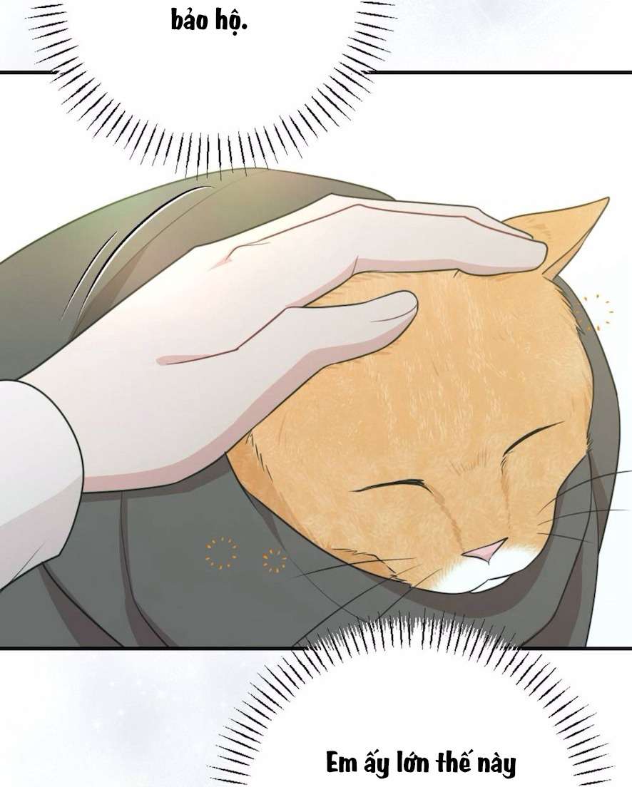 〖18+〗- Chiếm Lấy Em Chap 5 - Trang 2