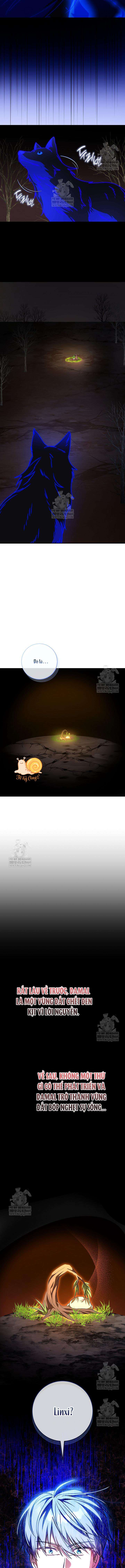 Nàng Chim Được Dinh Thự Sói Yêu Thương Chap 66 - Trang 2