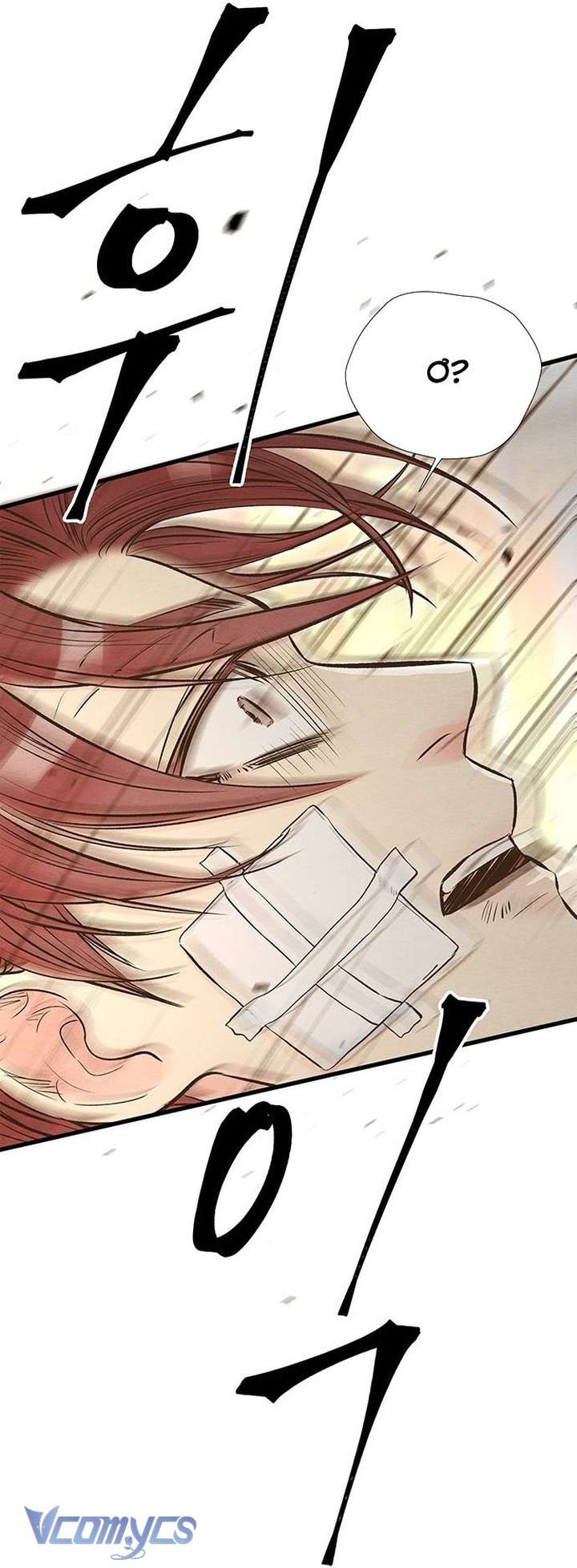 Hoàng Tử Rắc Rối Chap 21 - Trang 2