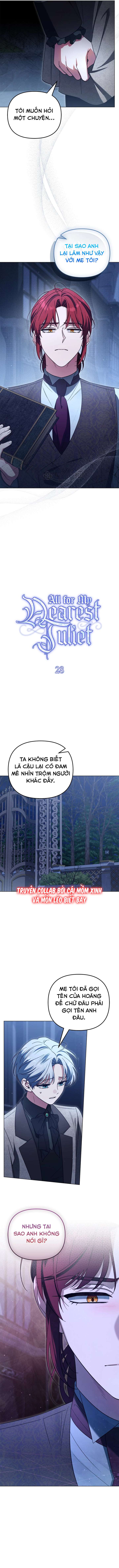 Dành Cho Nàng Juliet Xinh Đẹp Chapter 28 - Next Chap 29