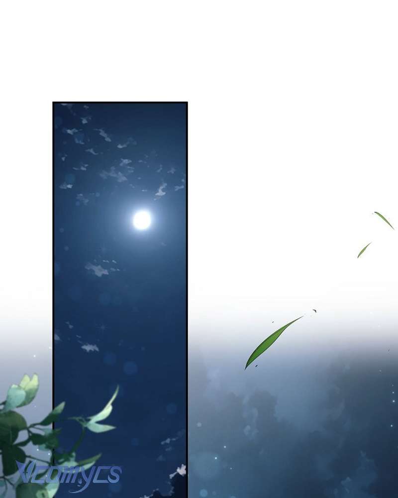 Các Nam Chính Đã Bị Nữ Phụ Cướp Mất Chap 66 - Trang 2