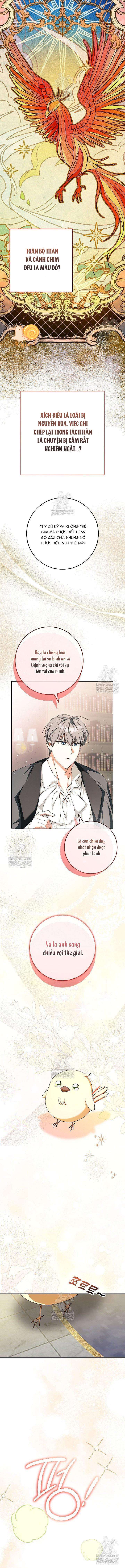Nàng Chim Được Dinh Thự Sói Yêu Thương Chap 62 - Trang 2