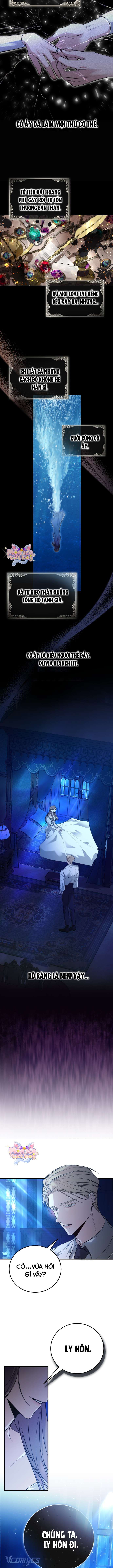 Cái Kết Của Cuộc Ly Hôn Chưa Trọn Vẹn Chap 1 - Trang 3