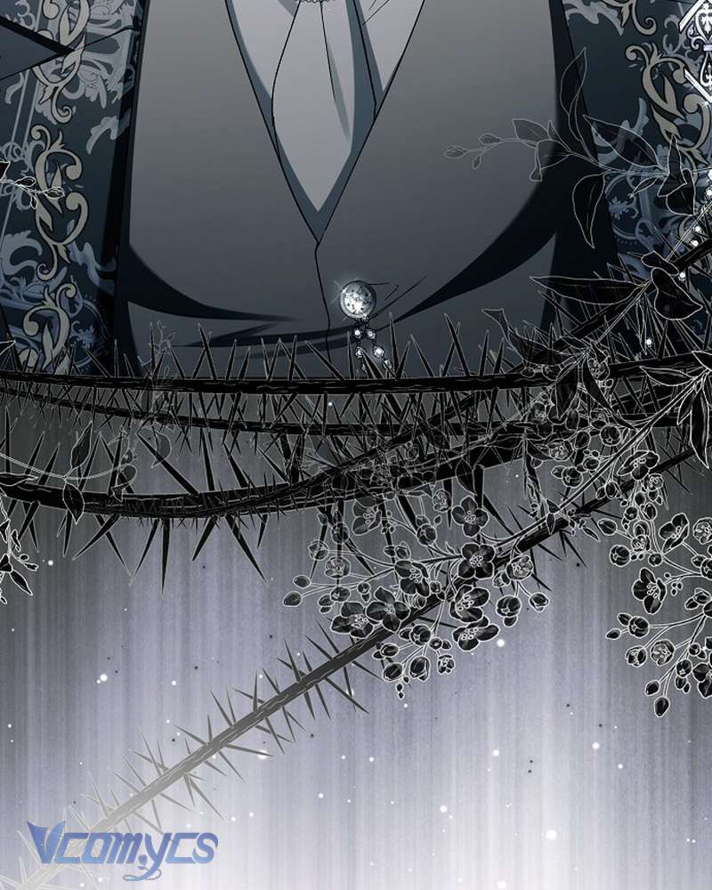 Các Nam Chính Đã Bị Nữ Phụ Cướp Mất Chap 64 - Trang 2