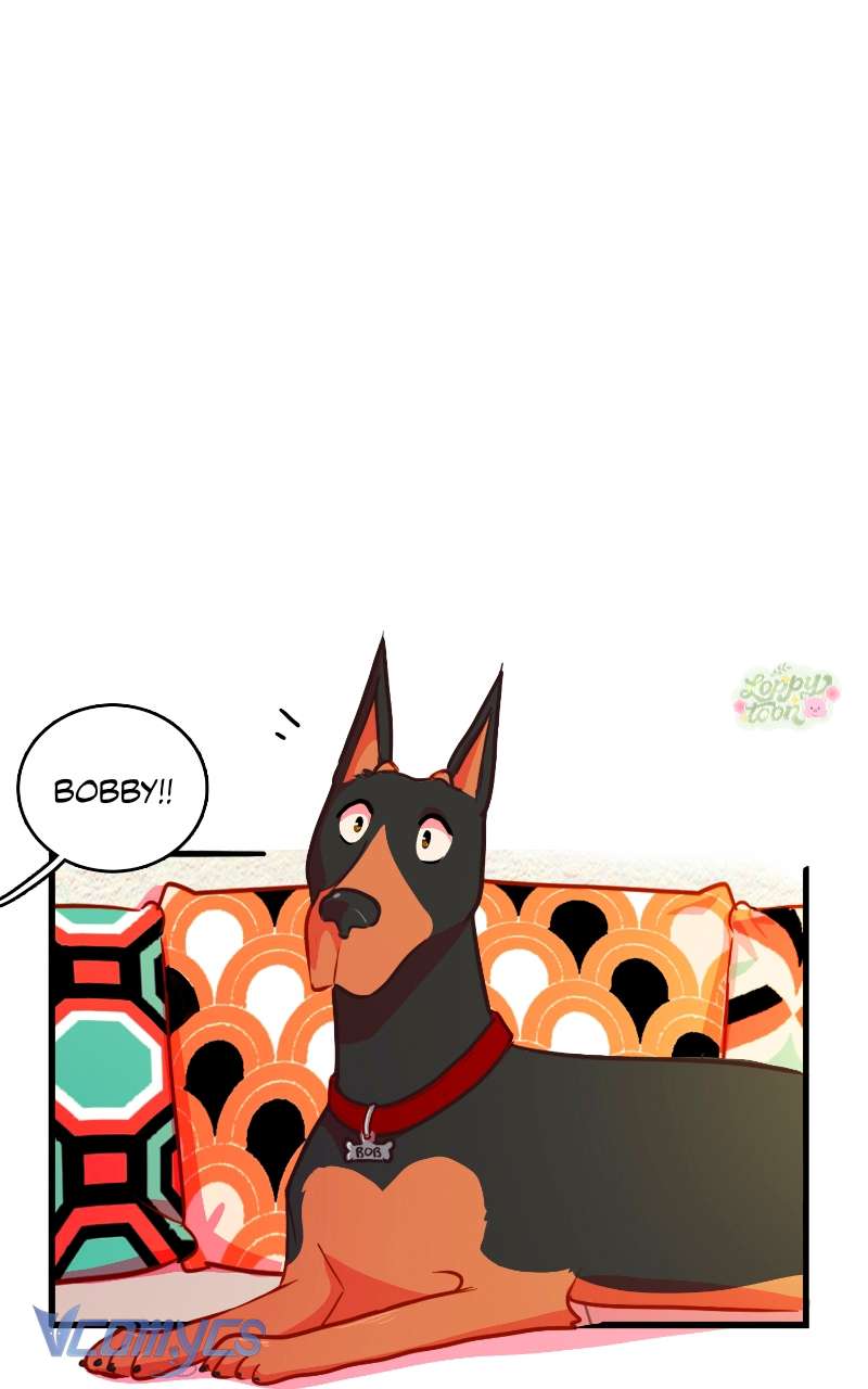 Chú Cún Dạo Bước Cùng Anh Chap 7 - Trang 2