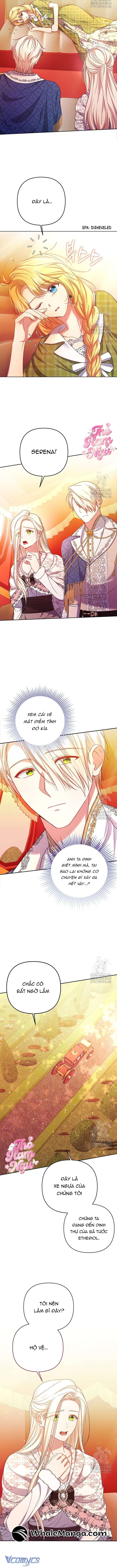 Nàng Vịt Chờ Ngày Hủy Hôn Chap 8 - Trang 2