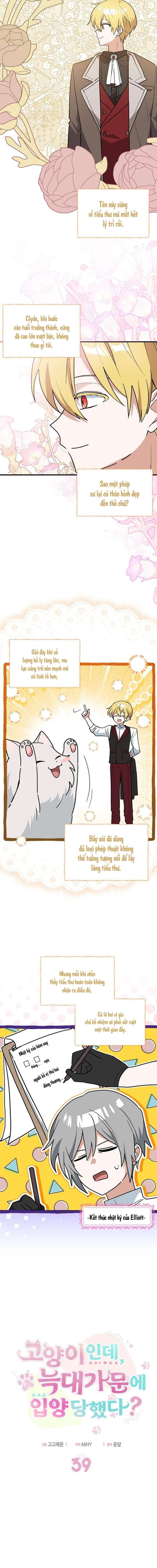 Mèo con được gia tộc sói nhận nuôi? Chap 39 - Trang 3