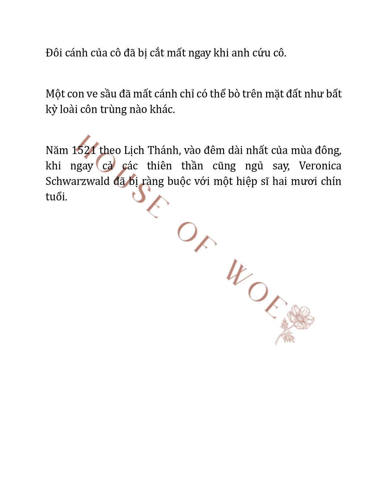 [NOVEL] QUÝ CÔ QUÁI VẬT VÀ HIỆP SĨ THÁNH Chap 4 - Trang 2