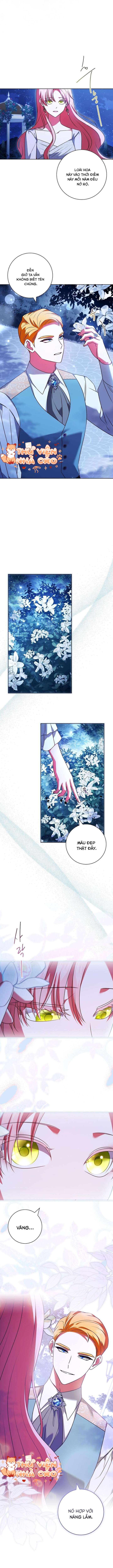 Hãy Để Luật Sư Chuyên Nghiệp Lo Chuyện Ly Hôn Chap 11 - Trang 2