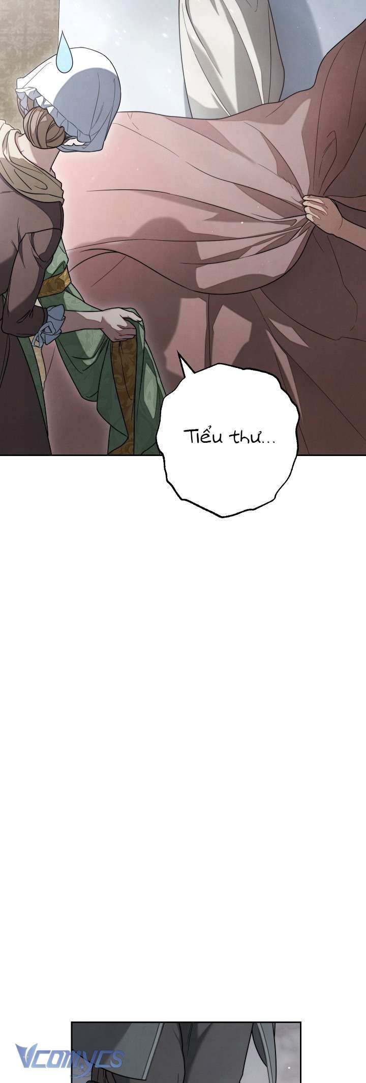 Hôn Nhân Vụ Lợi 2: Bản Tình Ca Không Thể Quên Chap 3 - Next Chap 4