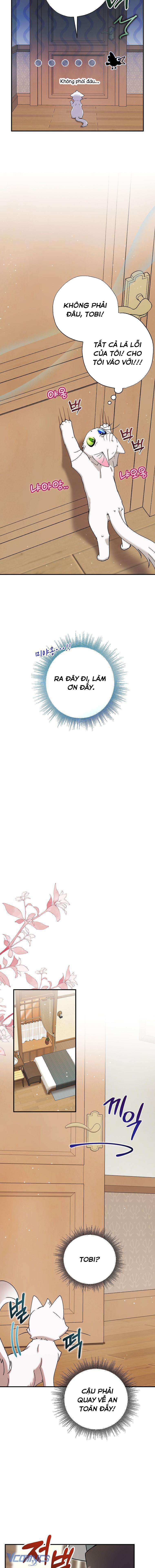 Trở Thành Miêu Nữ Của Hoàng Đế Chapter 8 - Trang 4