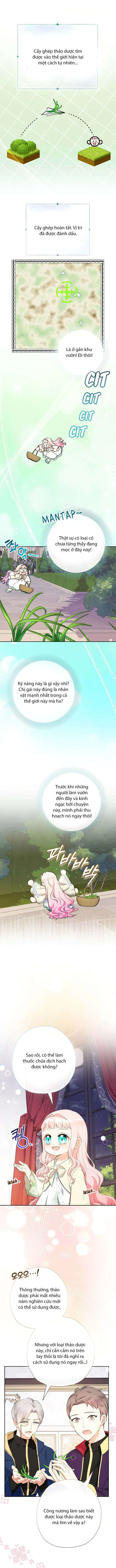 [PNT] Tiểu Thư Tích Tiền Đi Bụi Chap 81 - Next Chap 82