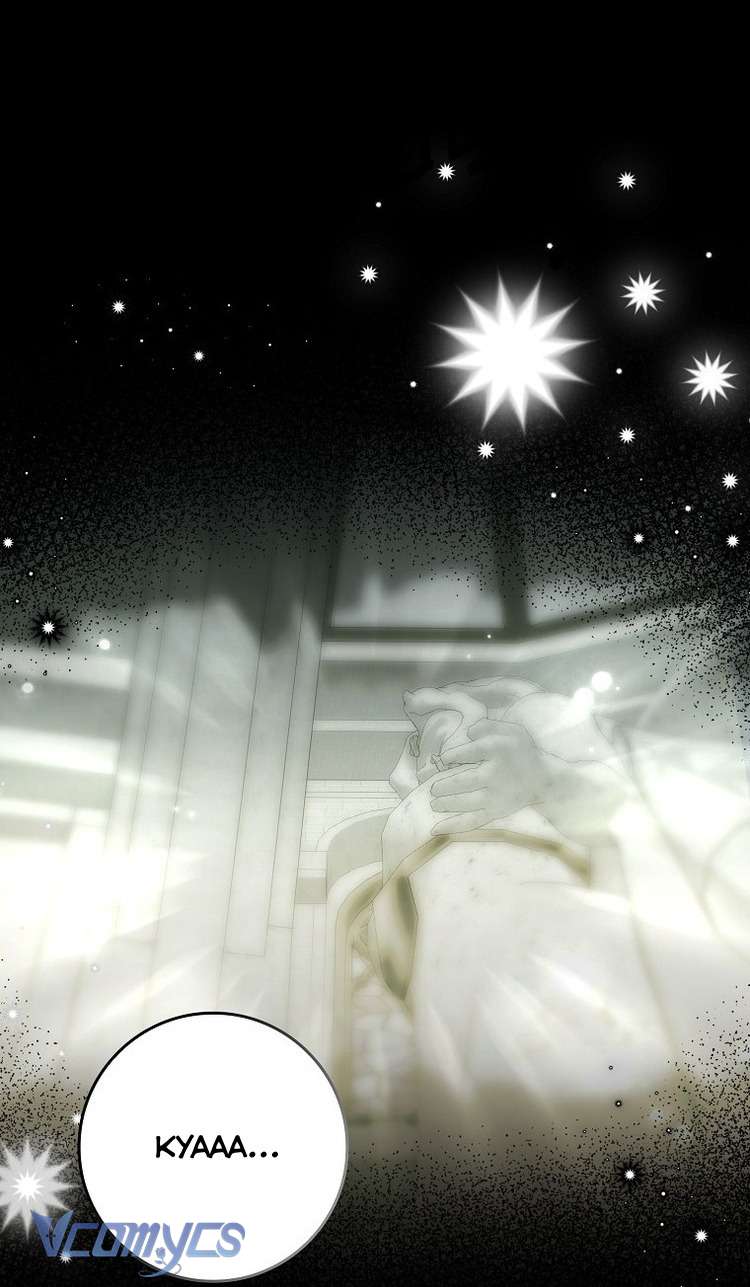 Công Chúa Bạch Hổ Không Có Nguy Hiểm Nha! Chap 10 - Trang 2