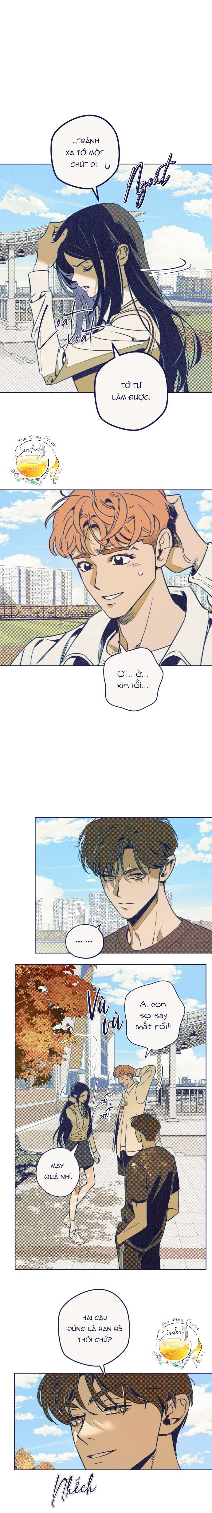 Trắc Nghiệm Bốn Lựa Chọn Chap 5 - Trang 2