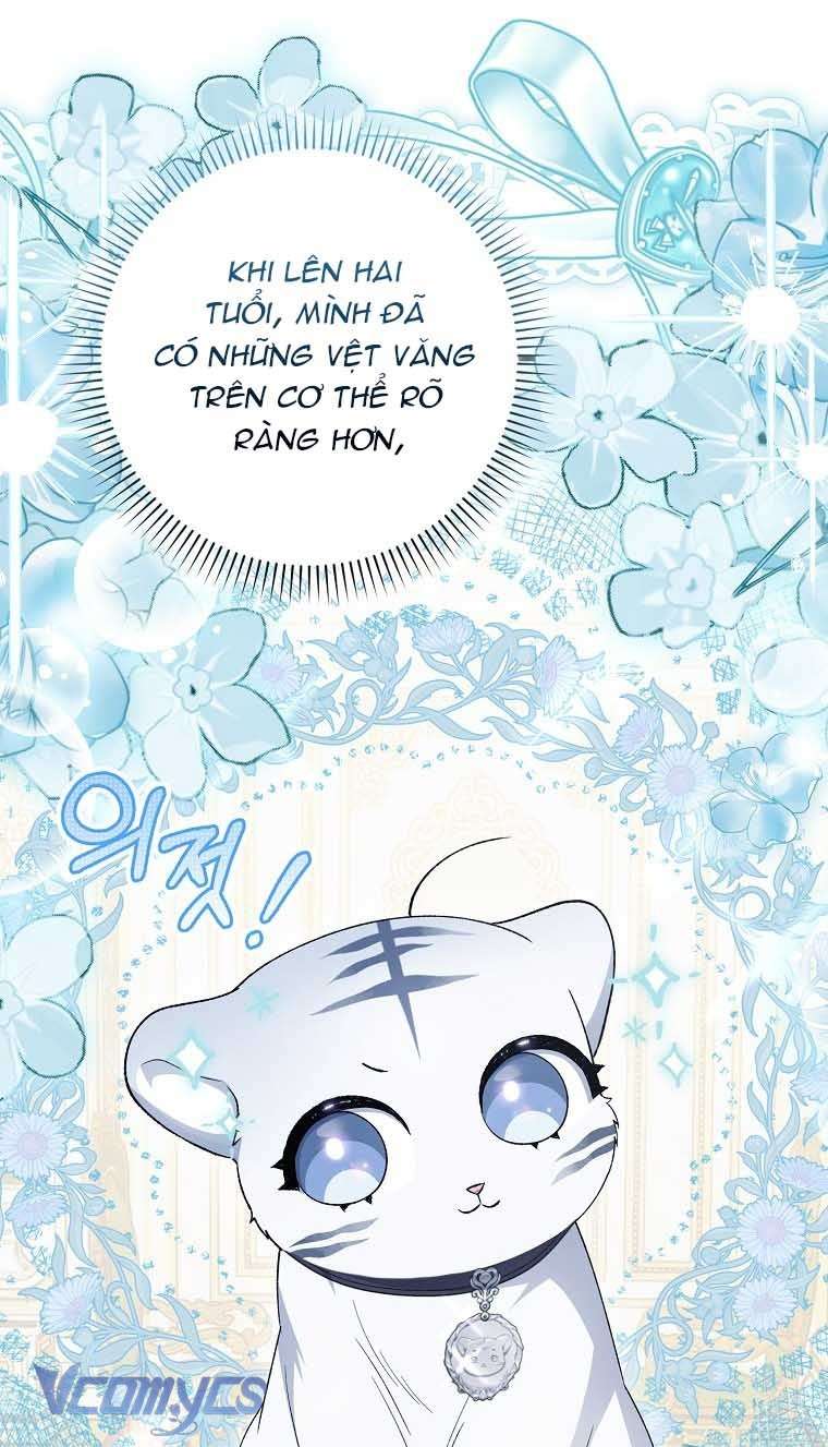 Công Chúa Bạch Hổ Không Có Nguy Hiểm Nha! Chap 8 - Trang 2