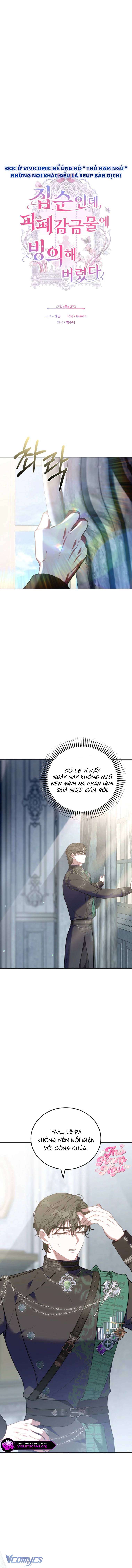 Mặc Dù Thích Ở Nhà Nhưng Tôi Lại Xuyên Vào Thể Loại Giam Cầm Đen Tối Chap 16 - Trang 2