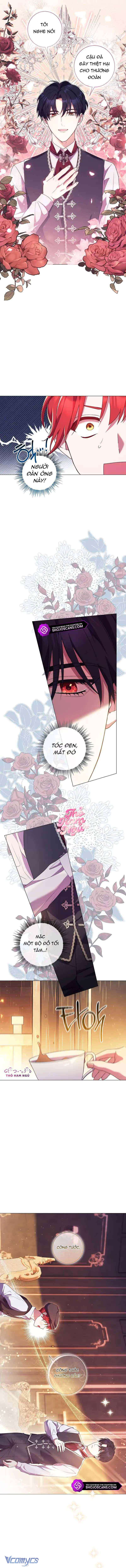 Sao Tôi Có Thể Li Hôn Khi Còn Chưa Kết Hôn Đây, Thưa Bệ Hạ Chap 6 - Trang 2