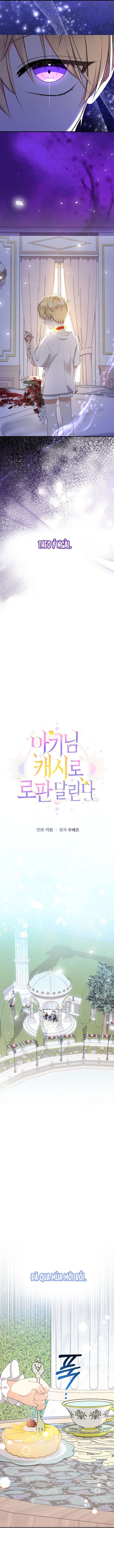 [PNT] Tiểu Thư Tích Tiền Đi Bụi Chap 67 - Trang 2