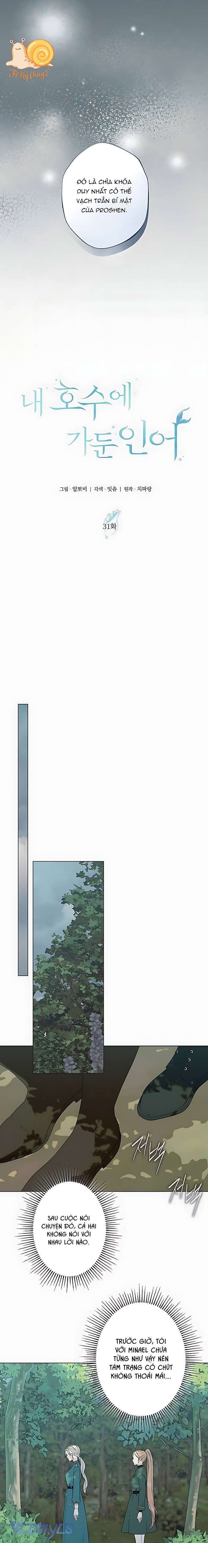 Chàng Tiên Cá Bị Giam Cầm Trong Hồ Nhà Tôi Chap 31 - Trang 3