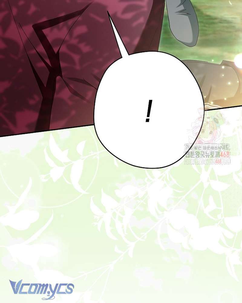 Các Nam Chính Đã Bị Nữ Phụ Cướp Mất Chap 62 - Trang 2