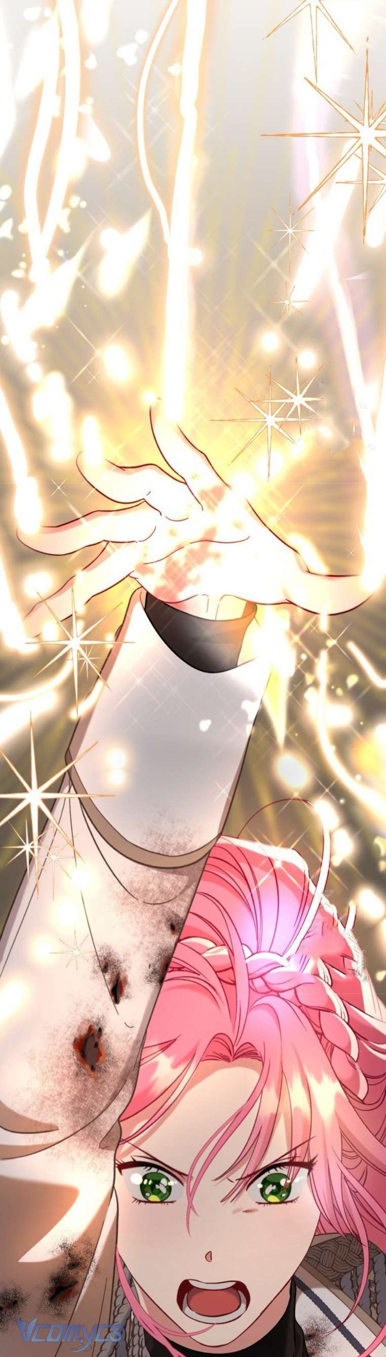 Sự Điều Trị Đặc Biệt Của Tinh Linh Chap 103 - Trang 4