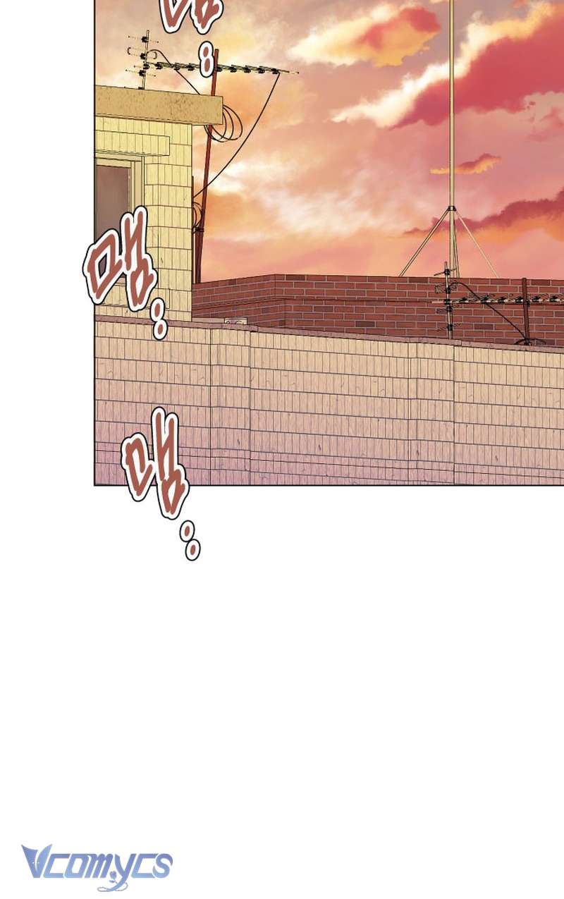 Chàng Romeo Của Chúng Ta Chap 1 - Trang 2