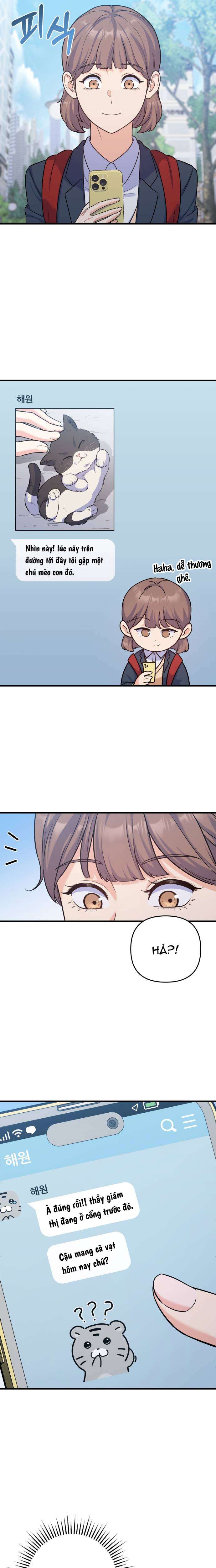 Vì Một Kết Thúc Viên Mãn Cho Đôi Ta Chap 8 - Trang 2