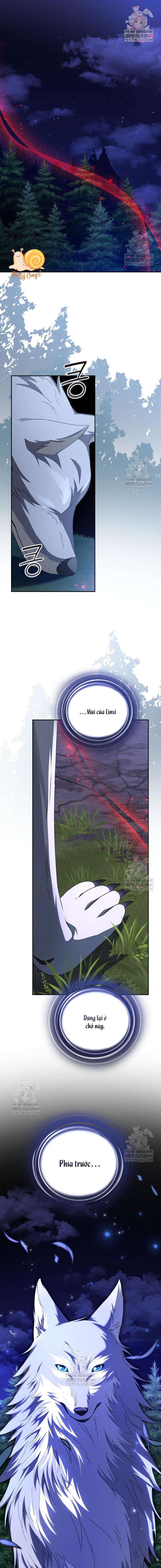 Nàng Chim Được Dinh Thự Sói Yêu Thương Chap 66 - Next 