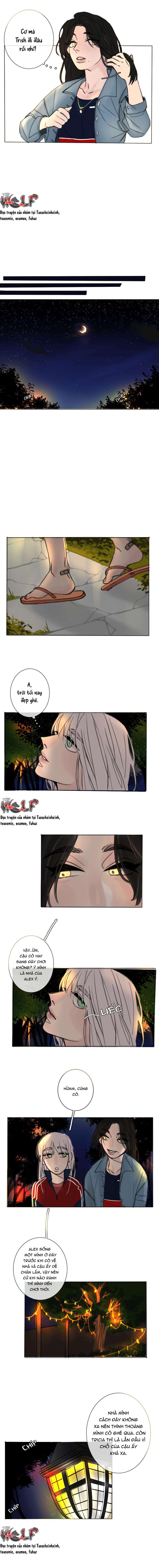 Tình Cờ Thật Đấy Chap 12 - Trang 3